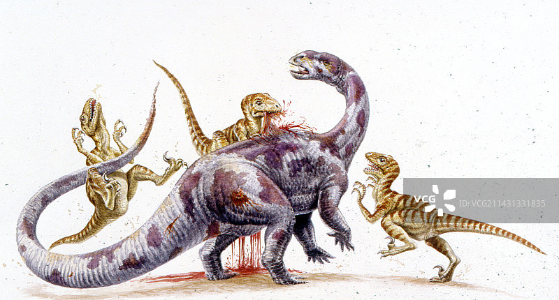 恐爪龙攻击腱龙图片素材