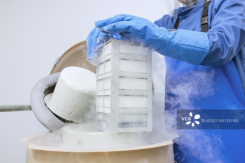 干细胞研究中的冷冻保存图片素材