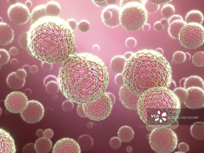 寨卡病毒颗粒插图图片素材