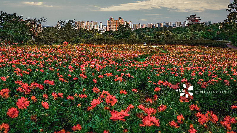 湖北宜昌市夷陵区森林公园图片素材