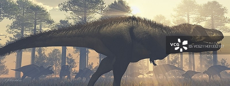 霸王龙恐龙插画图片素材