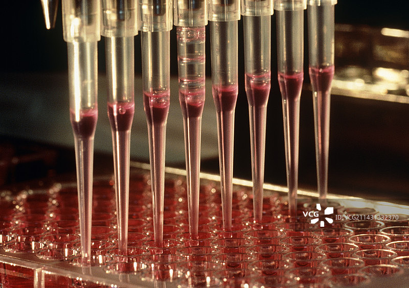 使用白细胞介素2进行癌症免疫疗法图片素材