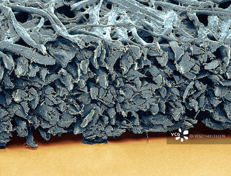 滤纸，扫描电镜图片素材