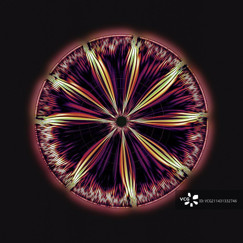 伪虎鲸声音的波形图图片素材