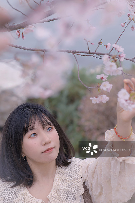 春天樱花盛开的美丽少女图片素材