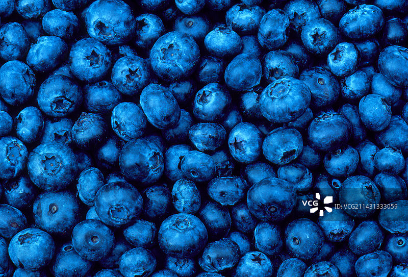 成熟的蓝莓图片素材