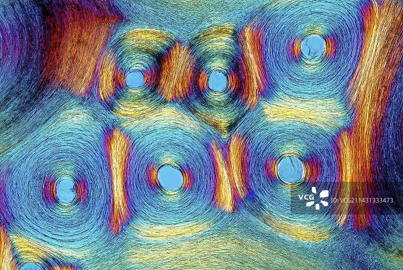 鲸骨偏振光显微镜照片图片素材