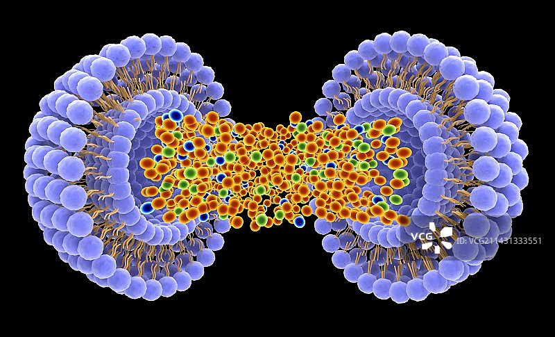 药物传递脂质体，艺术作品图片素材
