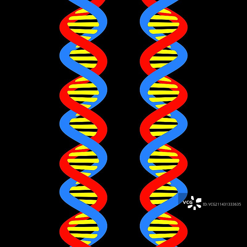 DNA分子插图图片素材