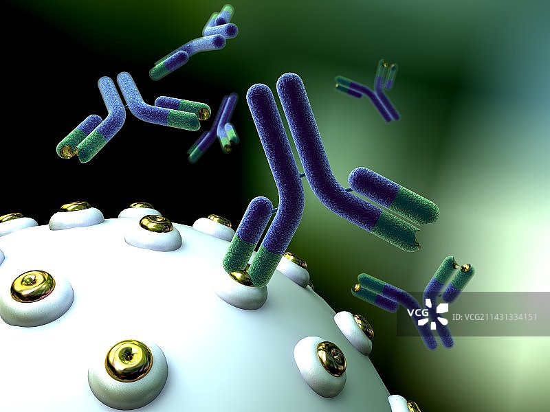 单克隆抗体艺术作品图片素材