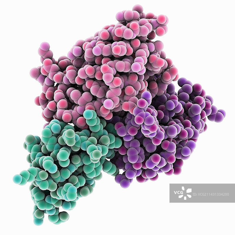 与抗体结合的蝎毒素图片素材