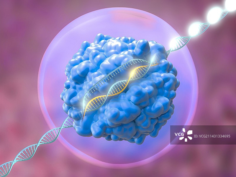 CRISPR-Cas9基因编辑复合体插图图片素材