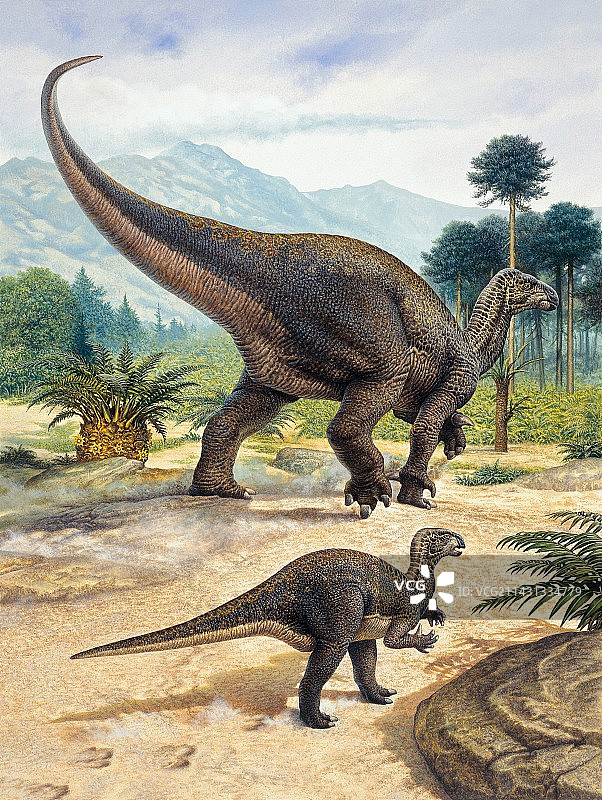 禽龙插画图片素材