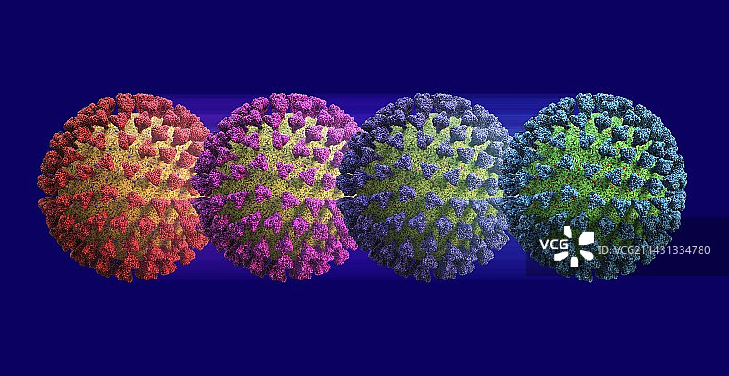 新冠病毒变异示意图图片素材