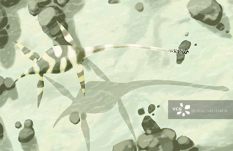 乌隆龙艺术作品图片素材