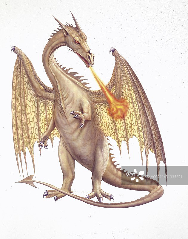 龙插画图片素材