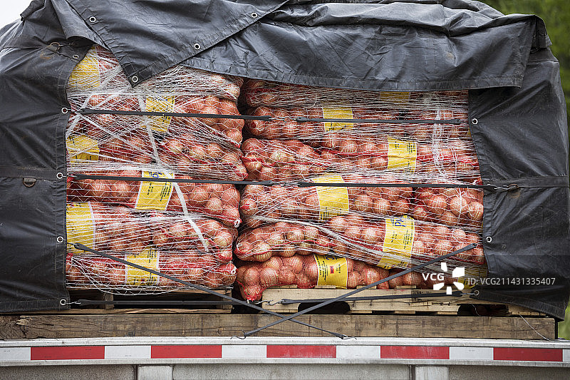 卡车上的洋葱图片素材