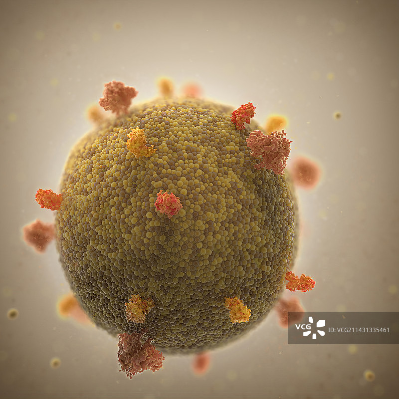 艾滋病毒颗粒，插图图片素材