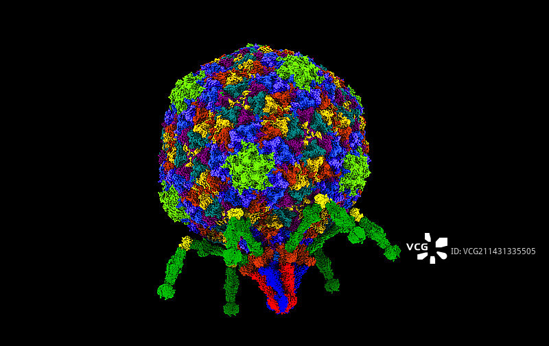 T7噬菌体计算机模型图片素材