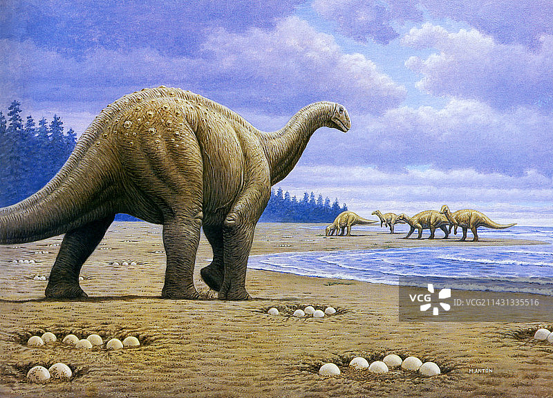 泰坦巨龙图片素材