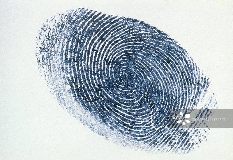 人类指纹视图图片素材