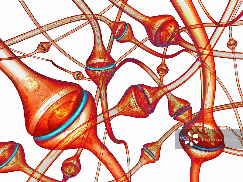突触，艺术作品图片素材