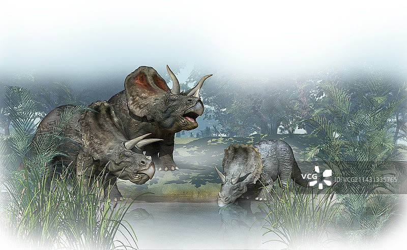 三角龙（老幼）艺术作品图片素材