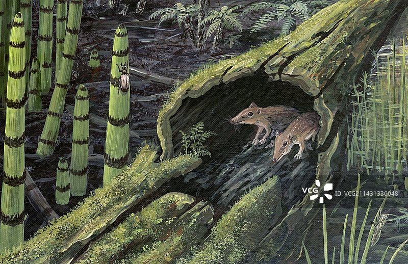 侏罗纪生物艺术作品图片素材