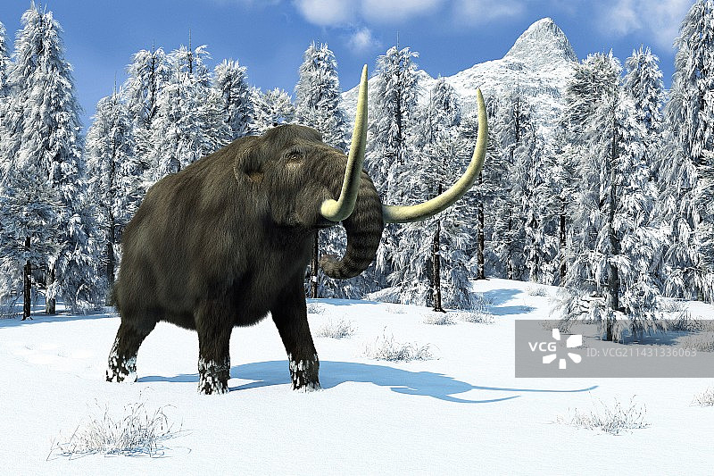 猛犸象，艺术作品图片素材