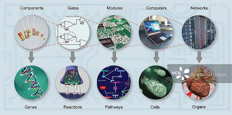 电子与生物系统艺术作品图片素材