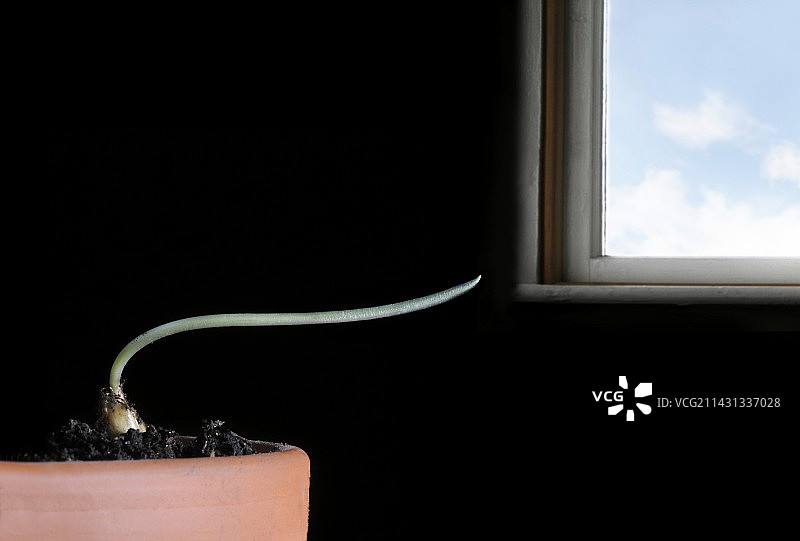 向光性图片素材