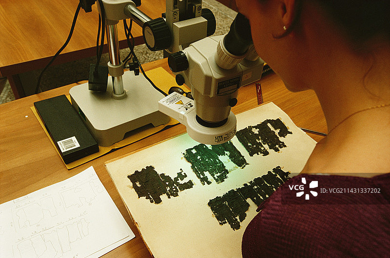 研究人员研究纸莎草卷轴图片素材