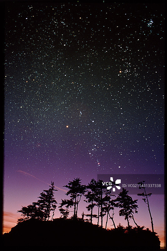 树木上空的星空图片素材