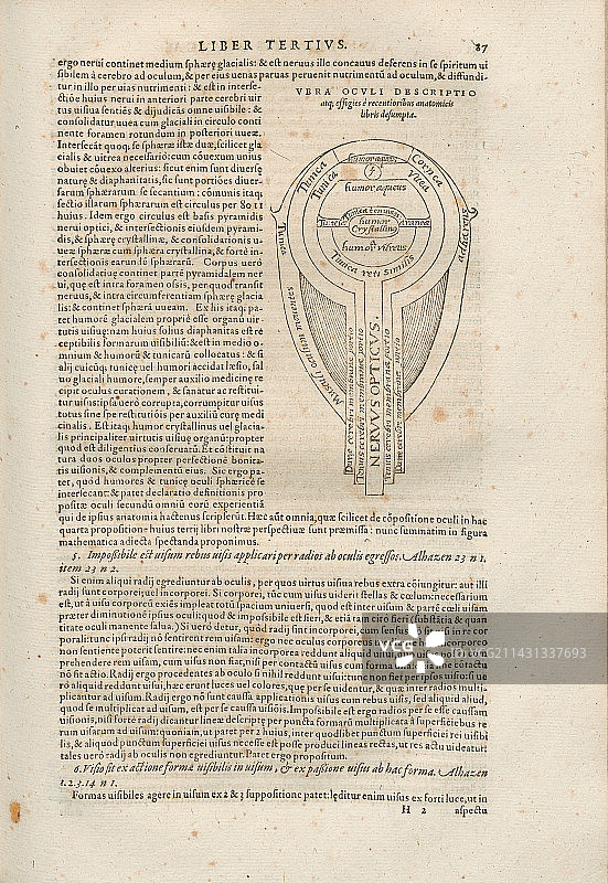 眼睛解剖结构，《光学之书》图片素材