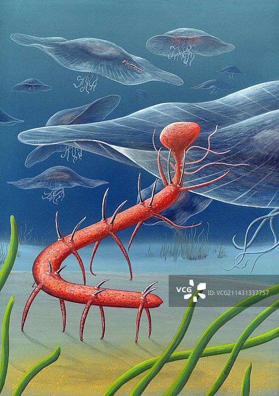 寒武纪无脊椎动物艺术作品图片素材