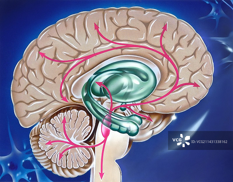 阿尔茨海默病神经内科图图片素材