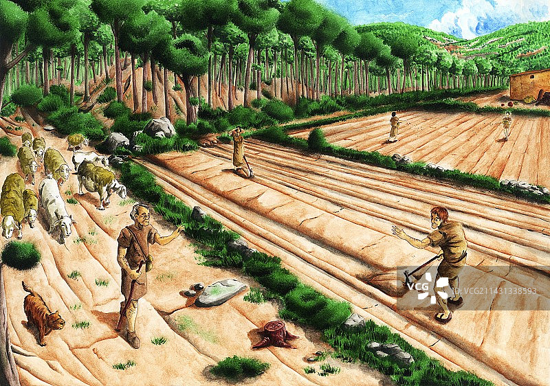 伊比利亚农业艺术作品图片素材