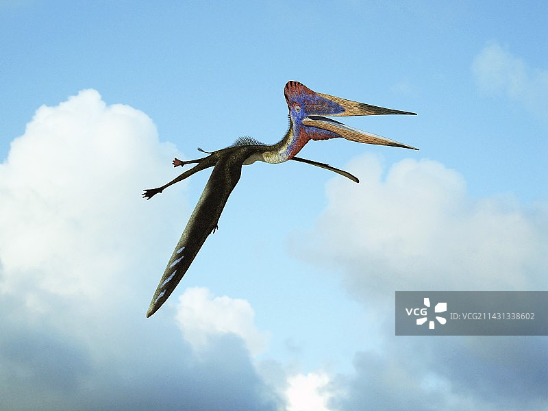 浙江翼龙艺术作品图片素材