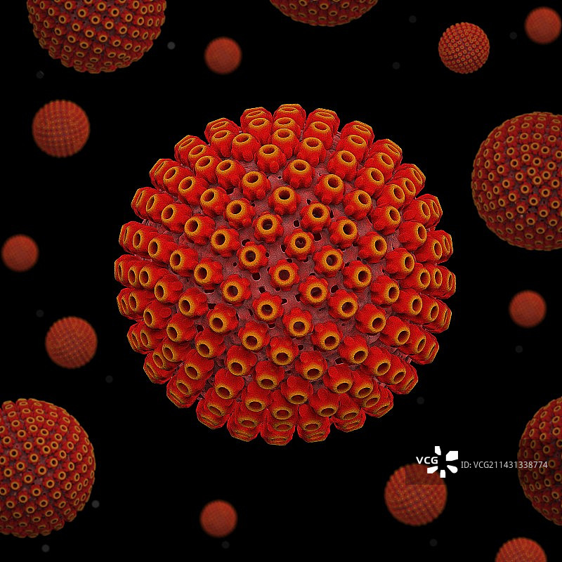 疱疹病毒颗粒，图示图片素材
