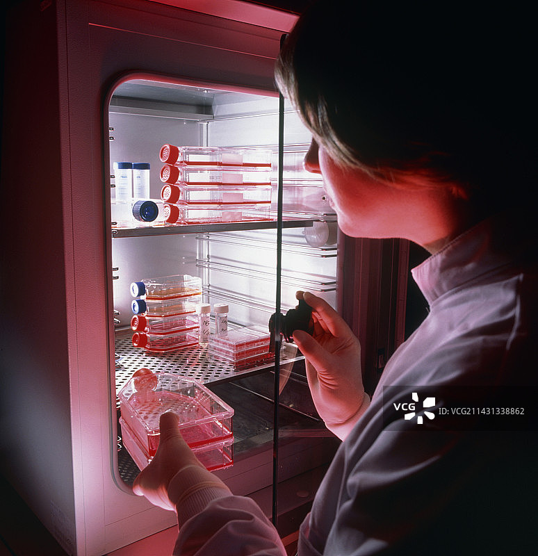 癌症研究图片素材