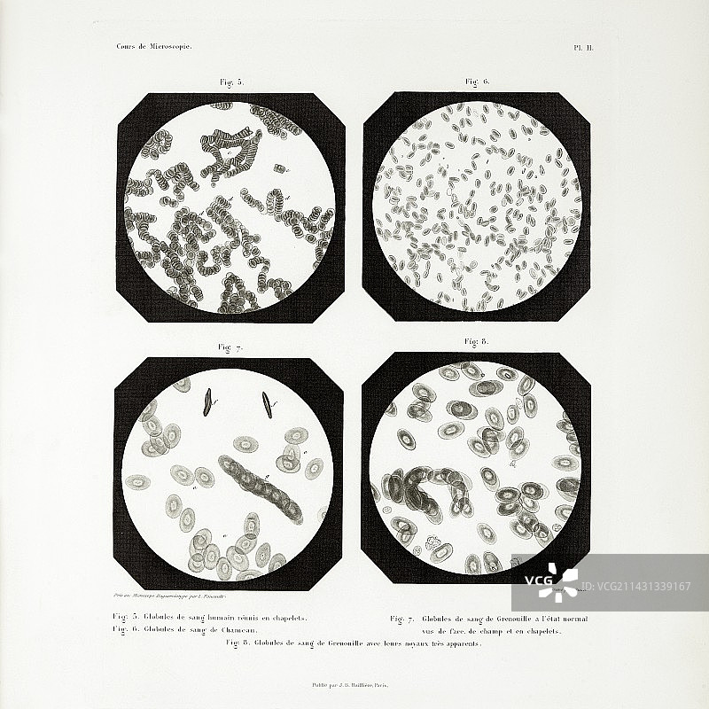 1845年最早显微照片图片素材