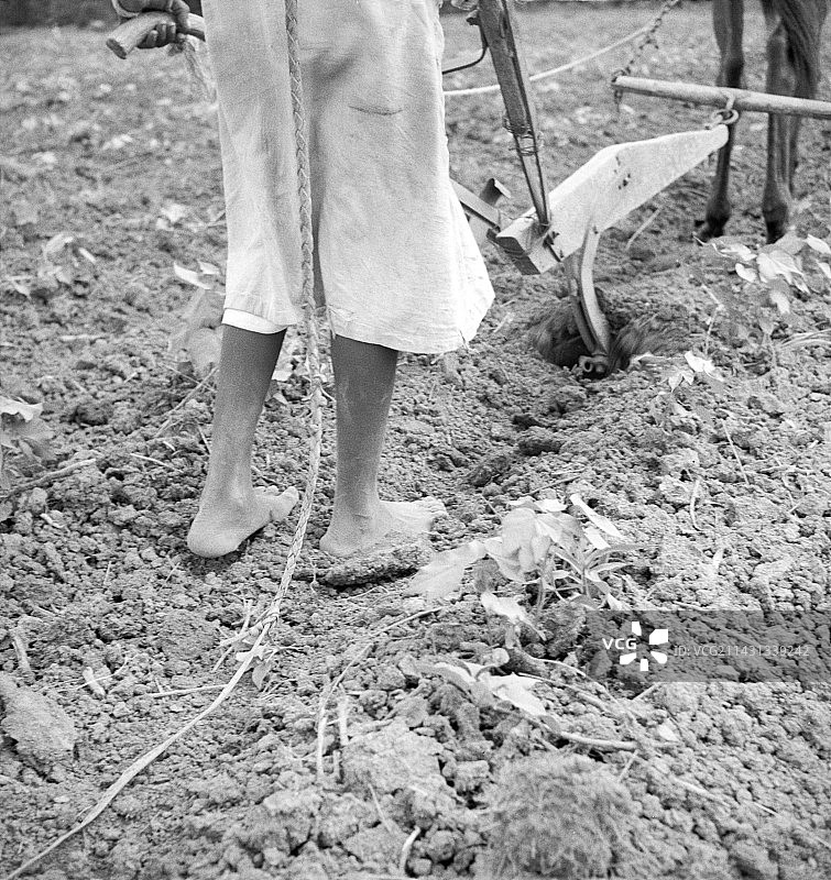 1936年，美国阿拉巴马州，女孩耕地图片素材
