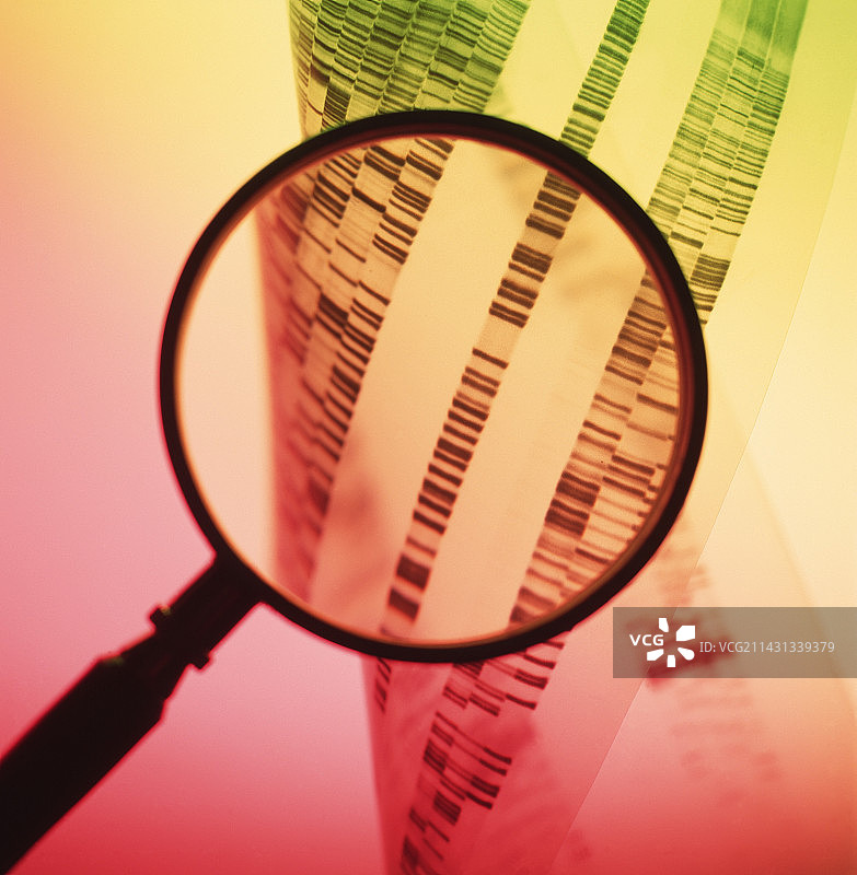 DNA测序图片素材