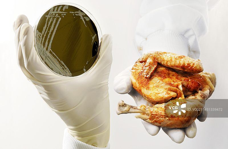 弯曲杆菌食物中毒图片素材