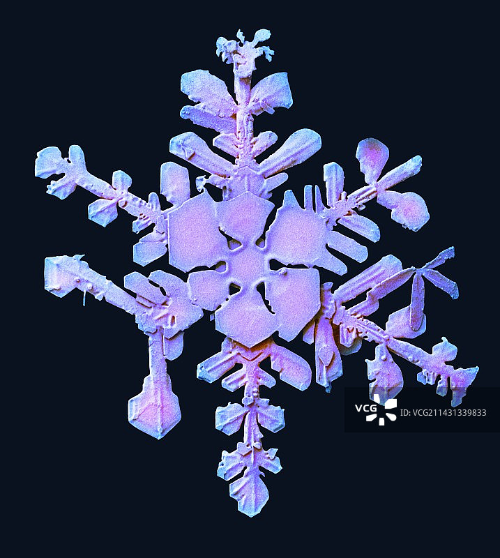 雪花，低温扫描电镜图片素材