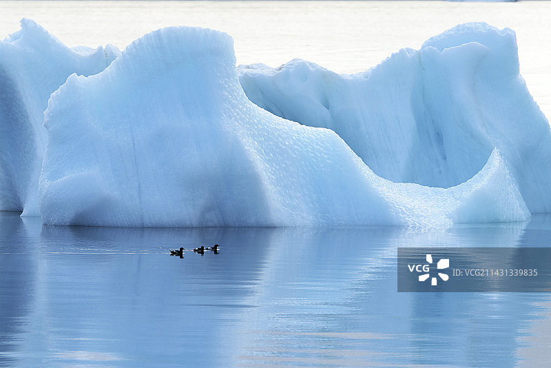 融化的北极冰山图片素材