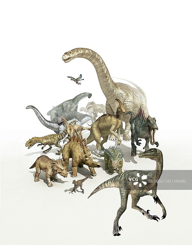 恐龙插画图片素材