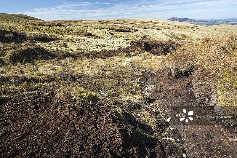 国王岸头的泥炭藓图片素材
