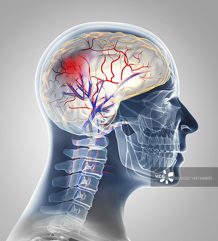 笔触插画图片素材