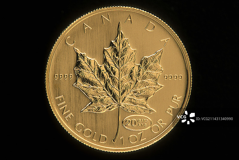 加拿大枫叶金币图片素材